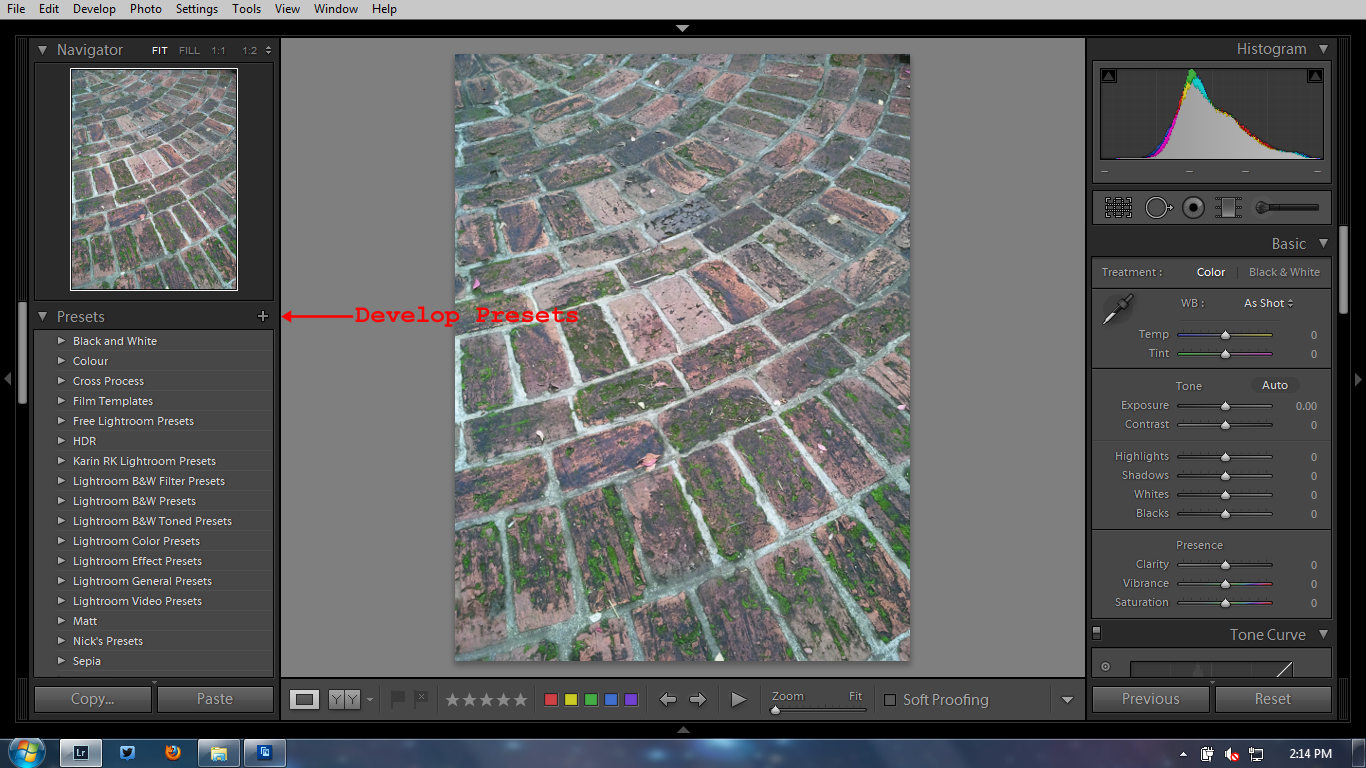 Develop Presets Develop Presets