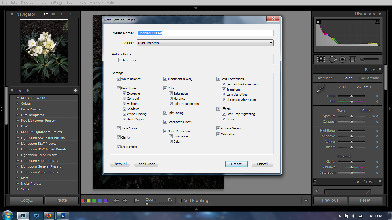 Develop Preset Options Develop Preset Options