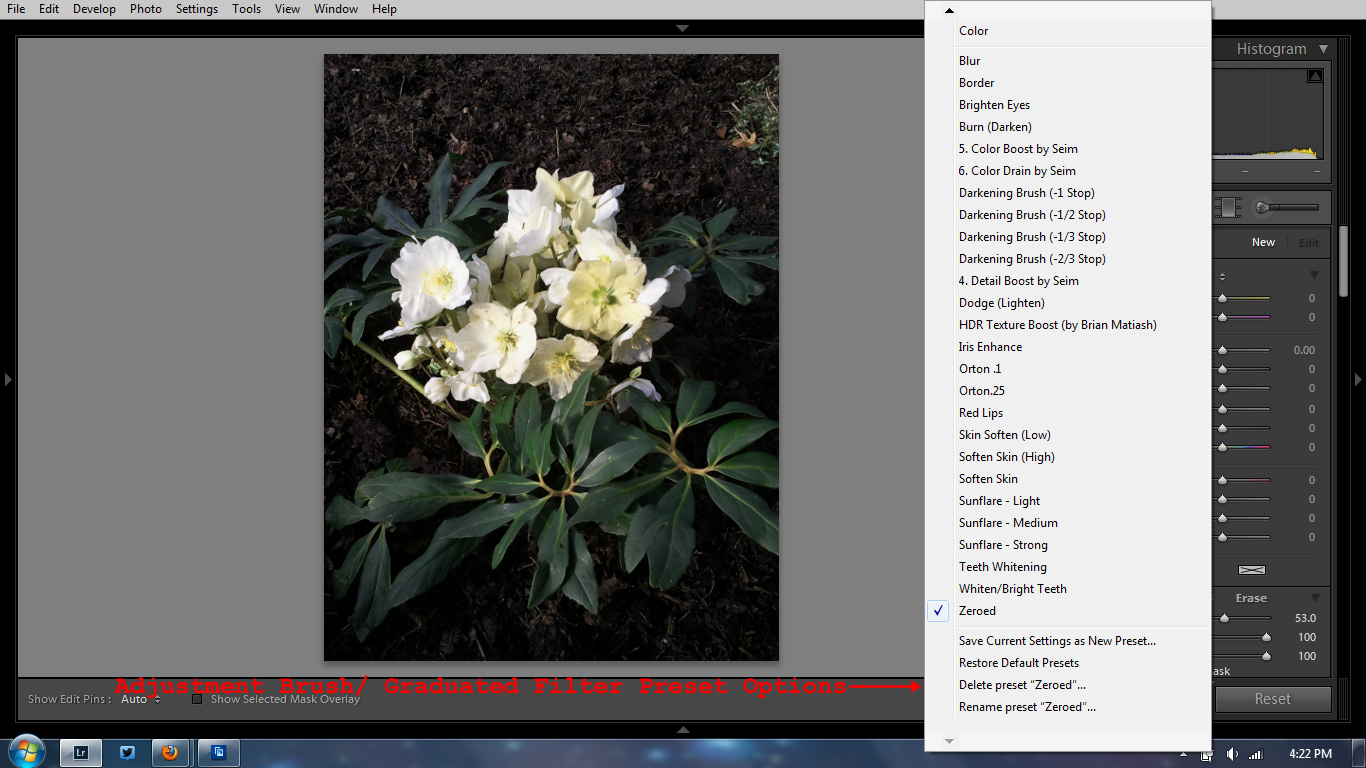 Adjustment Brush/ Graduated Filter Preset Options Adjustment Brush/ Graduated Filter Preset Options