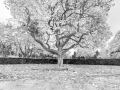 Forgotten Playground