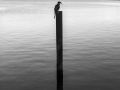 20141015-8-2