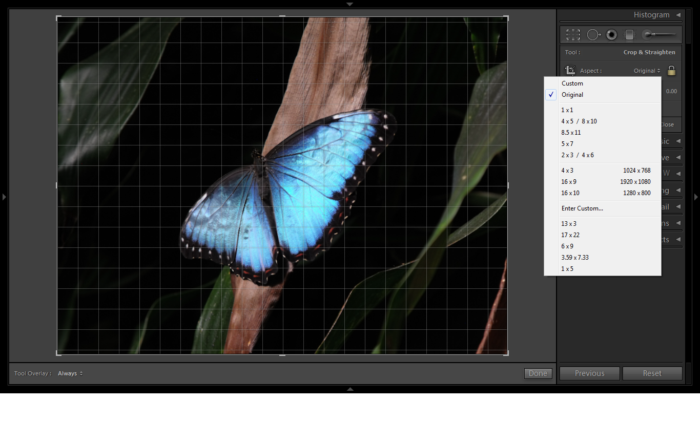 Lightroom S Crop Tool Aspect Ratio And Image Size M M S Musings Lightroom S Crop Tool Aspect Ratio And Image Size M M S Musings